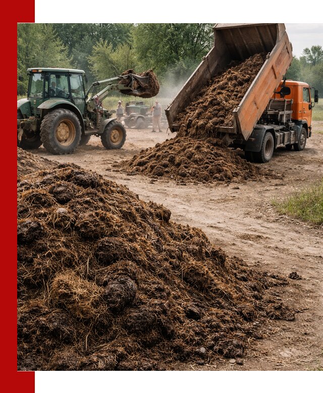 Доставка навоза самосвалами в Югорске для сельхозпотребностей